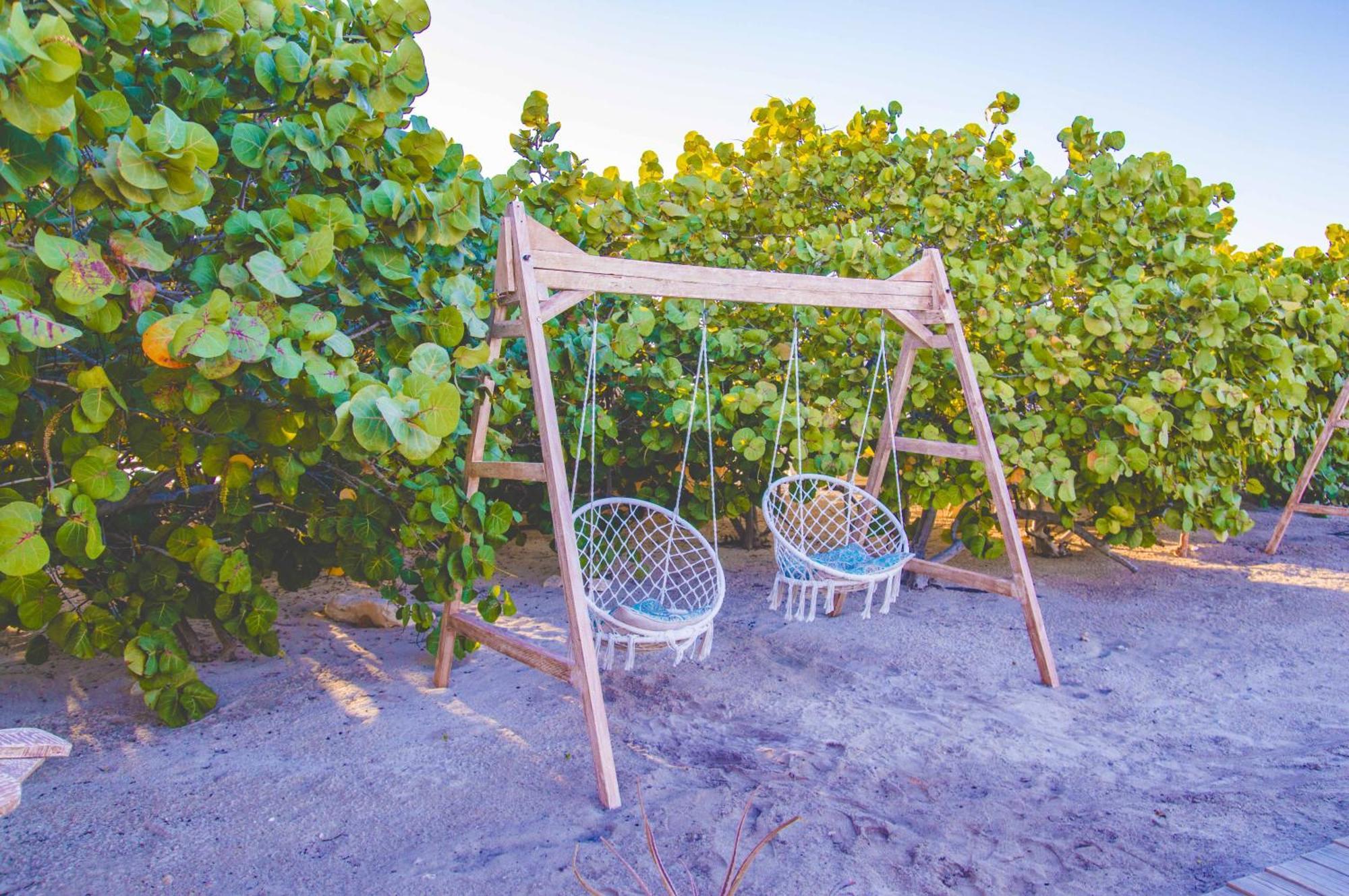 Glamping Ecolodge Cueva De Las Aguilas Pedernales Exterior foto